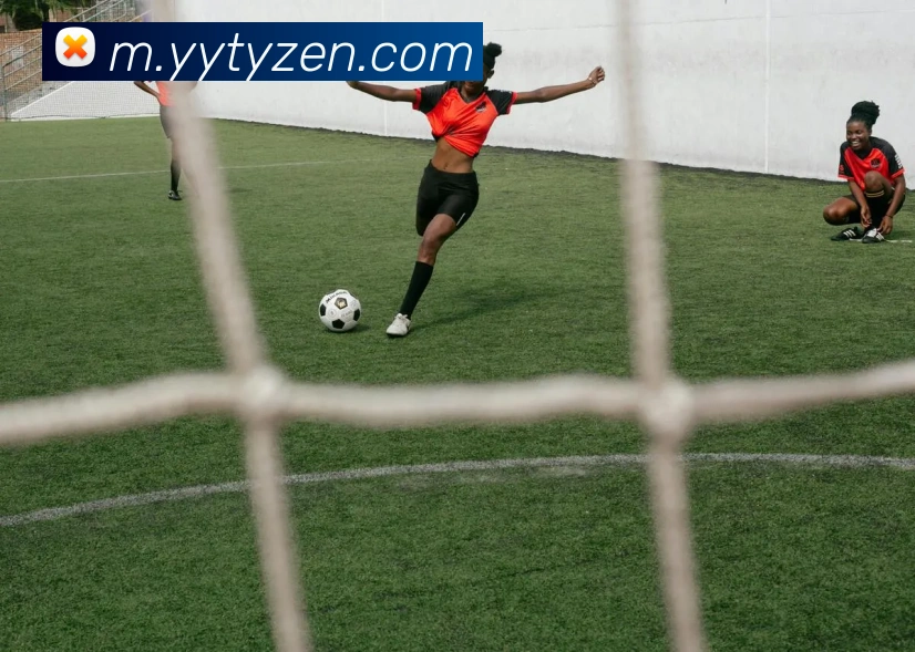 多媒体互动体验